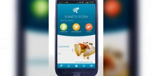 Poissons de peche durable : faites un effort ! 