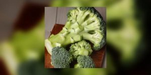 Tiges de brocoli : on en fait quoi ?