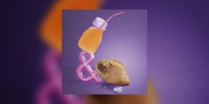 Nouveau gouter dans les Mc Cafe