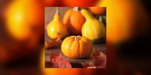 Comment eplucher un potimarron (ou une autre courge) facilement ?