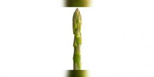 Aphrodisiaques, les asperges ?