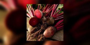 Betteraves : comment les cuire ?