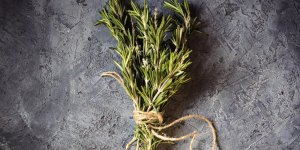 Herbes de Provence : achetez-vous les bonnes ? 