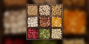 Pourquoi faut-il manger des legumes secs ?