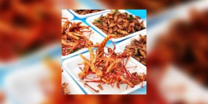 Etes-vous pret(e) a manger des insectes ?