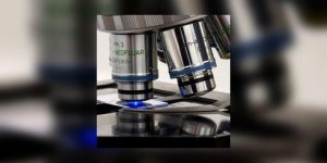 "Tout s-accelere" dans la recherche sur les cancers