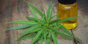 Cannabis therapeutique : Agnes Buzyn "ouvre le debat" en France