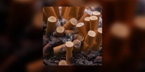Trois nouvelles mesures chocs anti-tabac
