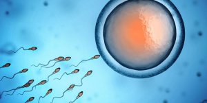 Qualite du sperme : une baisse due a de multiples causes environnementales