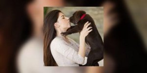 L’ocytocine, l’hormone qui explique l’attachement entre l’homme et le chien