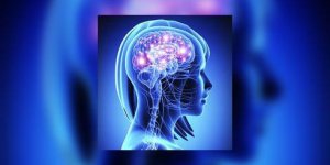 Les bilingues recuperent mieux apres un accident vasculaire cerebral