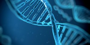 FIV : un test genetique pour connaitre le QI du futur bebe
