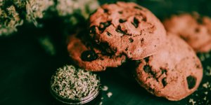 Un medecin prescrit des cookies au cannabis a un enfant de 4 ans