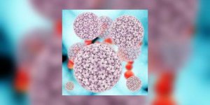 Pour comprendre l’origine des cancers du sein, la genealogie !