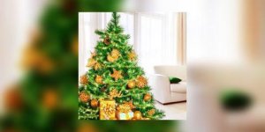 Et vous etiez allergique… au sapin de Noel ? 