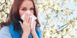 Pollens : 3 departements du Sud de la France en alerte rouge