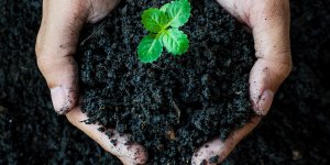 Alternative a l’inhumation : l-etat de Washington legalise le compost... humain !
