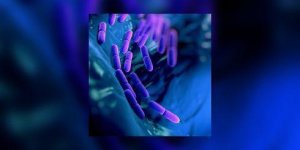 Utiliser le microbiote intestinal pour booster les chimiotherapies