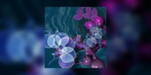 Cancer du pancreas : le virus de l-herpes pourrait traiter les cellules cancereuses