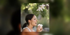 Journee des allergies : demain, 1 Francais sur 2 sera concerne