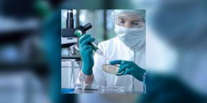 La nanomedecine s-attaque aux cellules cancereuses