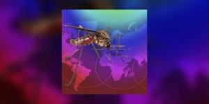 Le virus Zika : infection emergente a transmission sexuelle