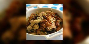 Champignons : deja 24 cas d’intoxication !