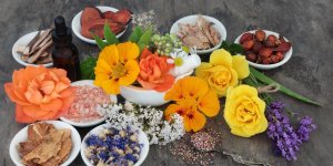 Plantes medicinales : attention aux interactions avec les medicaments !