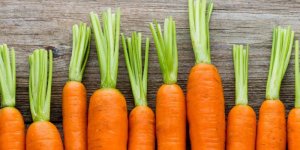 Chinchards, carottes, gingembre, coriandre
