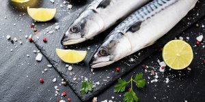 Tartare de sardines