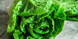 Lavez vos salades !