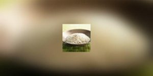 Salade de riz sauvage et de ble aux fruits