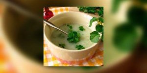 Soupe aux fanes de radis et cresson