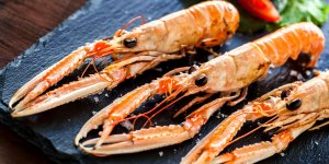 Langoustines au naturel