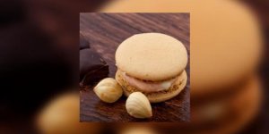 Macarons noisettes