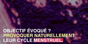 Non, inserer du persil dans son vagin n-est pas une bonne idee