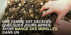 Elle meurt suite a l-ingestion de champignons dans un grand restaurant