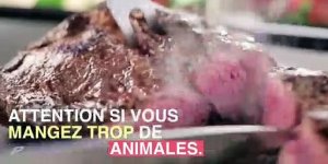 Steathose hepatique : attention aux proteines animales