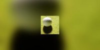 Lentilles de contact pour que les sportifs voient la vie en couleurs...