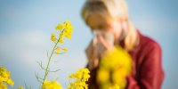 Rhume des foins : à quelles périodes ?