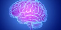 Alzheimer : des signes de démence apparaissent 9 ans avant le diagnostic