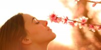 Comment le cycle menstruel influence l'odorat