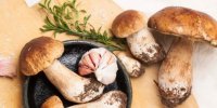 Aller aux champignons ? Pour le plaisir mais avec précautions...
