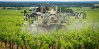 Habiter près des vignes, facteur de risque de leucémie ? 