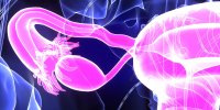 Douleur pelvienne : comment reconnaître une salpingite ?
