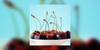 Fruits au chocolat
