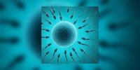 Devenez « donneur de bonheur » en offrant vos spermatozoïdes et vos ovocytes