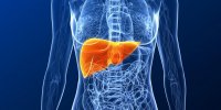 Hépatite C : 1,5 million de morts et 15 millions de cas évitables d’ici 2030