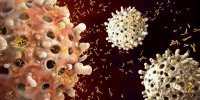 Immunothérapie contre le cancer : la technique récompensée par le prix Nobel de médecine