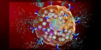La rhinite allergique expliquée en vidéo